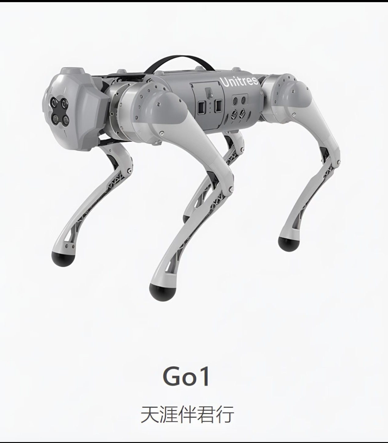 Unitree Go2 robot dog
